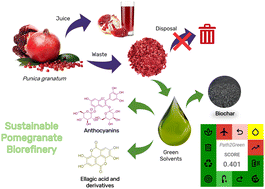 Graphical abstract: Valorization of pomegranate waste through green solvent extraction and biochar production: a zero-waste biorefinery approach