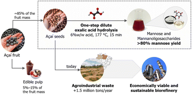 Graphical abstract: From açaí (Euterpe oleracea Mart.) waste to mannose and mannanoligosaccharides: a one-step process for recalcitrant mannan depolymerization using dilute oxalic acid