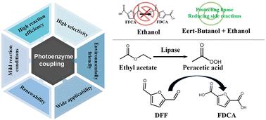 Graphical abstract: Photo-enzyme-coupled catalysis for selective oxidation of 2,5-diformylfuran into 2,5-furandicarboxylic acid