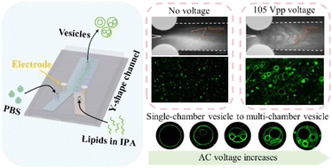 Graphical abstract: Synthesis of phospholipid vesicles using an electrokinetic turbulent microreactor
