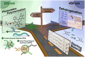 Graphical abstract: Heterogenous catalysis for oxygen tolerant photoredox atom transfer radical polymerization and small-molecule dehalogenation