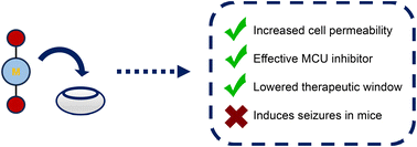 Graphical abstract: Supramolecular delivery of dinuclear ruthenium and osmium MCU inhibitors