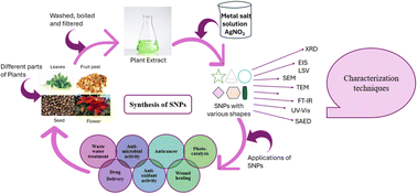 Graphical abstract: A review on green synthesis of silver nanoparticles (SNPs) using plant extracts: a multifaceted approach in photocatalysis, environmental remediation, and biomedicine