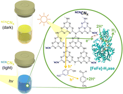 Graphical abstract: Electrostatic [FeFe]-hydrogenase–carbon nitride assemblies for efficient solar hydrogen production