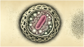 Graphical abstract: Fluorescent molecular probe for in vivo and in vitro targeting and imaging of an intracellular bacterial infection