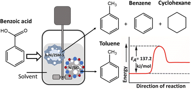 Graphical abstract: Catalytic hydrodeoxygenation of benzoic acid as a bio-oil model compound: reaction and kinetics using nickel-supported catalysts