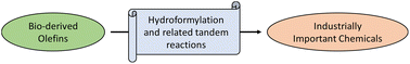 Graphical abstract: Hydroformylation, hydroaminomethylation and related tandem reactions of bio-derived renewable olefins: a step closer to sustainability