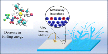 Graphical abstract: Altering Na-ion solvation to regulate dendrite growth for a reversible and stable room-temperature sodium–sulfur battery