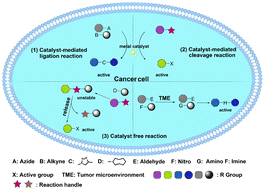 Graphical abstract: Bioorthogonal chemistry-based prodrug strategies for enhanced biosafety in tumor treatments: current progress and challenges