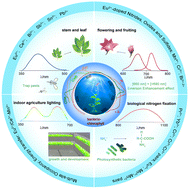 Graphical abstract: Recent progress of inorganic phosphors in artificial plant cultivation LEDs
