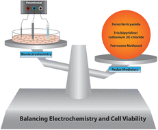 Graphical abstract: The impact of common redox mediators on cellular health: a comprehensive study