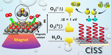 Graphical abstract: Spin-controlled electrocatalysis: an out-of-the-box strategy for the advancement of electrochemical water splitting