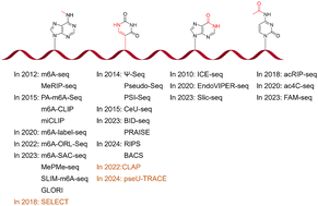 Graphical abstract: Advances in the detection of RNA modification