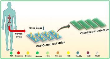 Graphical abstract: MOFs in healthcare diagnostics: shaping the future of biomedical test strips