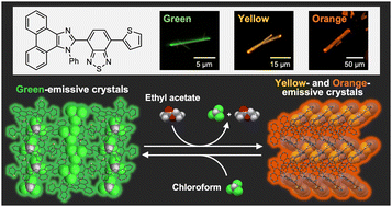 Graphical abstract: Reprecipitation-driven access to solvates and solvent-free crystals: achieving two-solvent-mediated vapochromic luminescence