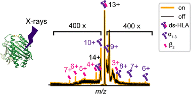 Graphical abstract: X-ray spectroscopy meets native mass spectrometry: probing gas-phase protein complexes