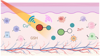 Graphical abstract: Small-molecule photoacoustic probes for in vivo imaging