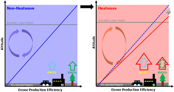 Graphical abstract: Accelerated O3 formation triggered by summer heatwaves in megacity Seoul