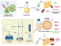 Graphical abstract: Eco-nanotechnology: phyto essential oil-based pest control for stored products
