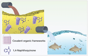 Graphical abstract: Efficient adsorption of 1,4-naphthoquinone on covalent organic frameworks