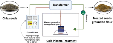 Graphical abstract: Multi-pin cold plasma treatment of chia (Salvia hispanica L.) seeds: nutritional & anti-nutritional, techno-functional, and structural properties