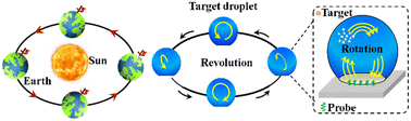 Graphical abstract: Dual-mode droplet rolling strategy: mimicking Earth's rotation and revolution for dual-cycle synergy in the efficient capture and controlled release of trace targets