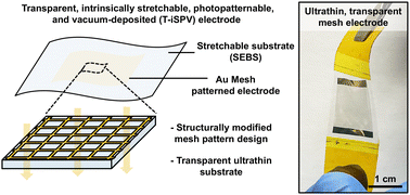 Graphical abstract: Highly transparent, intrinsically stretchable, photo-patternable, and vacuum-deposited electrodes for wearable sensors and displays
