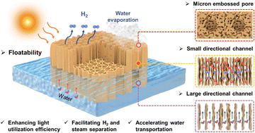 Graphical abstract: Gradient-structured directional porous floatable aerogels for effective solar-driven hydrogen production and steam generation