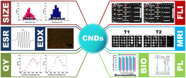 Graphical abstract: α-Ketoglutaric acid-derived carbon nanodots doped with manganese as fluorescent and MRI contrast agents