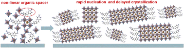 Graphical abstract: Regulating the crystallization behavior of quasi-2D Dion–Jacobson tin perovskites with a non-linear organic spacer