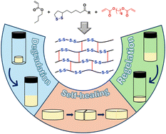 Graphical abstract: Lipoic acid/ethyl lipoate as cleavable comonomers for synthesis of degradable polymer networks