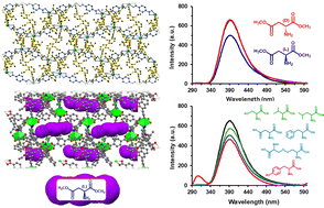 Graphical abstract: A chiral metal–organic framework fluorescent sensor incorporating H8-BINOL