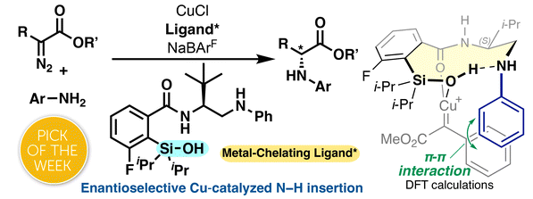 Graphical abstract: Multifunctional chiral silanol ligands for enantioselective catalysis