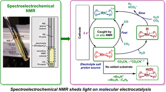Graphical abstract: Mapping proton and carbon dioxide electrocatalytic reductions at a Rh complex by in situ spectroelectrochemical NMR
