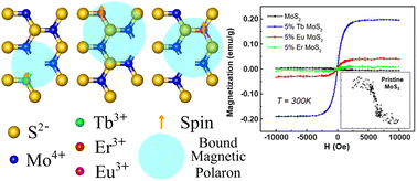 Graphical abstract: Room temperature ferromagnetic ordering from bound magnetic polarons in rare-earth-doped ultrathin MoS2 nanosheets