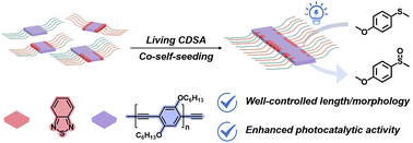 Graphical abstract: Crystallization-driven co-self-seeding strategy toward controlled preparation of heterojunction nanofibers