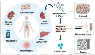 Graphical abstract: The rise of polymeric hydrogels, sponges, and electrospun fibers as adsorbents for microplastic removal: prospects for a sustainable future