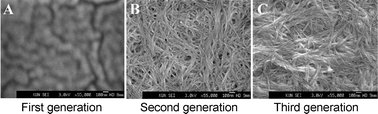 Graphical abstract: Self-assembly of two-component peptidic dendrimers: dendritic effects on gel-phase materials