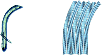 Graphical abstract: Structural basis for bending of organic crystals
