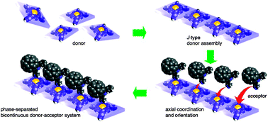 Graphical abstract: Highly efficient and switchable electron-transfer system realised by peptide-assisted J-type assembly of porphyrin