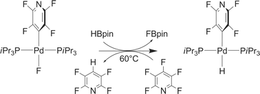 Graphical abstract: Isolation and reactivity of palladium hydrido complexes: intermediates in the hydrodefluorination of pentafluoropyridine