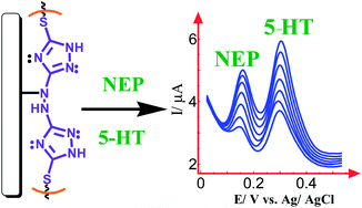 Graphical abstract: Electrochemical sensor for neurotransmitters at physiological pH using a heterocyclic conducting polymer modified electrode