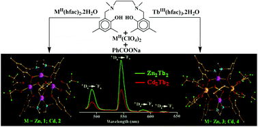 Graphical abstract: Tetranuclear homo- (ZnII4 and CdII4) and hetero-metal (ZnII2TbIII2 and CdII2TbIII2) complexes with a pair of carboxylate ligands in a rare η2:η2:μ4-bridging mode: syntheses, structures and emission properties