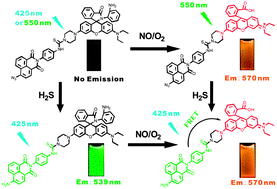 Graphical abstract: A logic gate-based fluorescent sensor for detecting H2S and NO in aqueous media and inside live cells