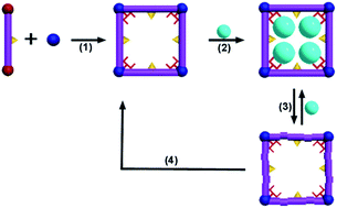 Graphical abstract: A regenerative metal–organic framework for reversible uptake of Cd(ii): from effective adsorption to in situ detection
