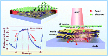 Graphical abstract: Solution assembly MoS2 nanopetals/GaAs n–n homotype heterojunction with ultrafast and low noise photoresponse using graphene as carrier collector