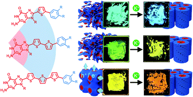 Graphical abstract: Guanine–oligothiophene conjugates: liquid-crystalline properties, photoconductivities and ion-responsive emission of their nanoscale assemblies