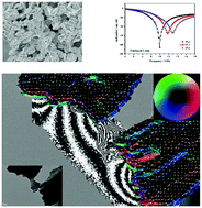 Graphical abstract: High-temperature annealing of an iron microplate with excellent microwave absorption performance and its direct micromagnetic analysis by electron holography and Lorentz microscopy