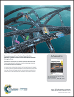 Graphical abstract: Back cover