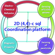 Graphical abstract: Luminescence sensing, electrochemical, and magenetic properties of 2D coordination polymers based on the mixed ligands p-terphenyl-2,2′′,5′′,5′′′-tetracarboxylate acid and 1,10-phenanthroline